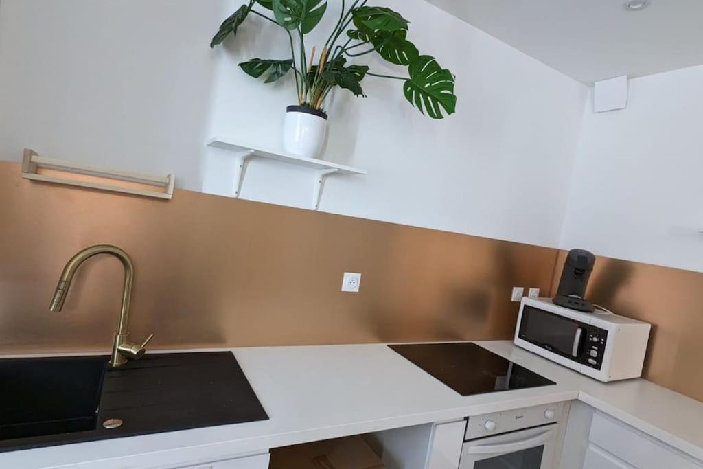 Cosy Queen -3Ch- Centre Ville & Parking Privee - Wifi Haut Debit Pau Esterno foto